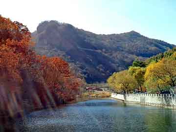 澳门二四六天天免费好材料，都市神尊